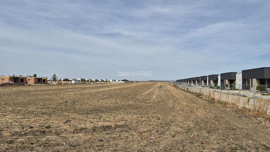 Teren intravilan 16.248 mp - Domnesti - 4