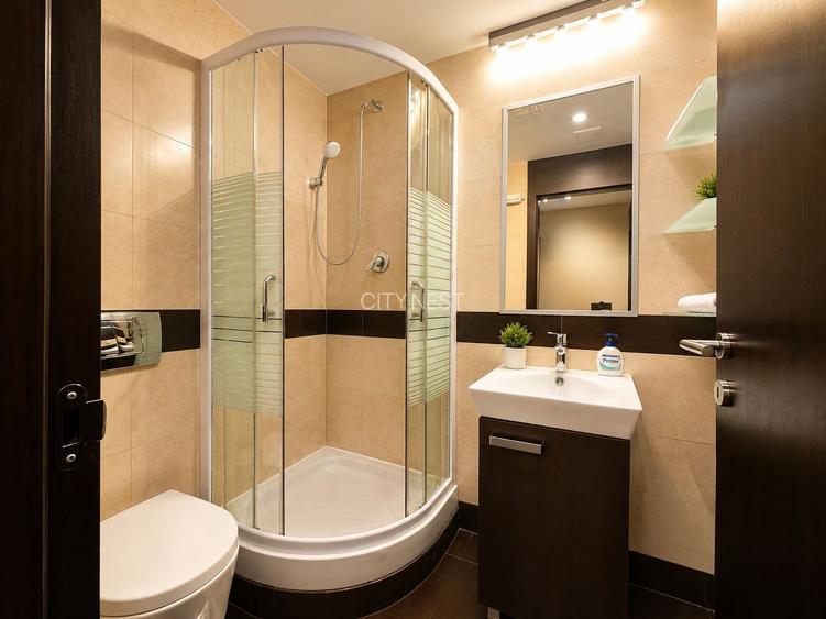 Apartament 3 camere de inchiriat piscina Iancu Nicolae - 11