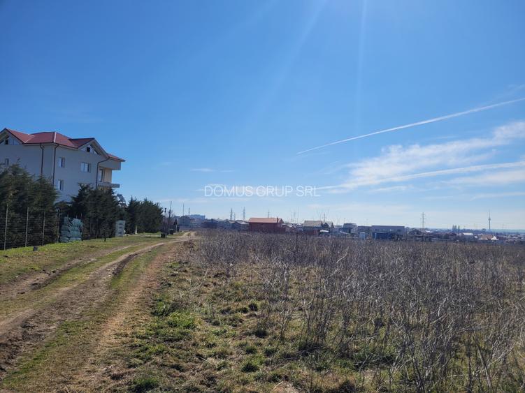 Teren intravilan, 700 mp  - Eforie Nord - 3
