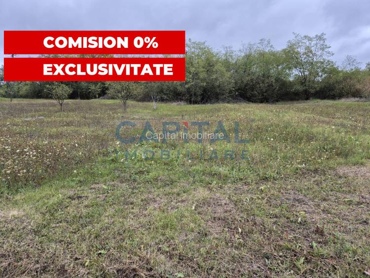 Teren extravilan, 2 922 mp, Apahida - 3
