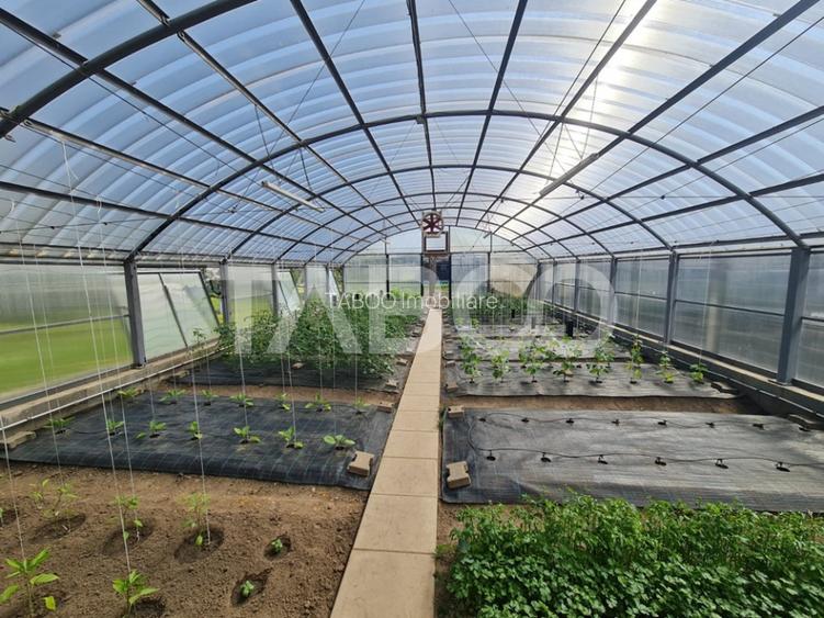 Vila cu piscina de vanzare in Sebes zona centrala - 20