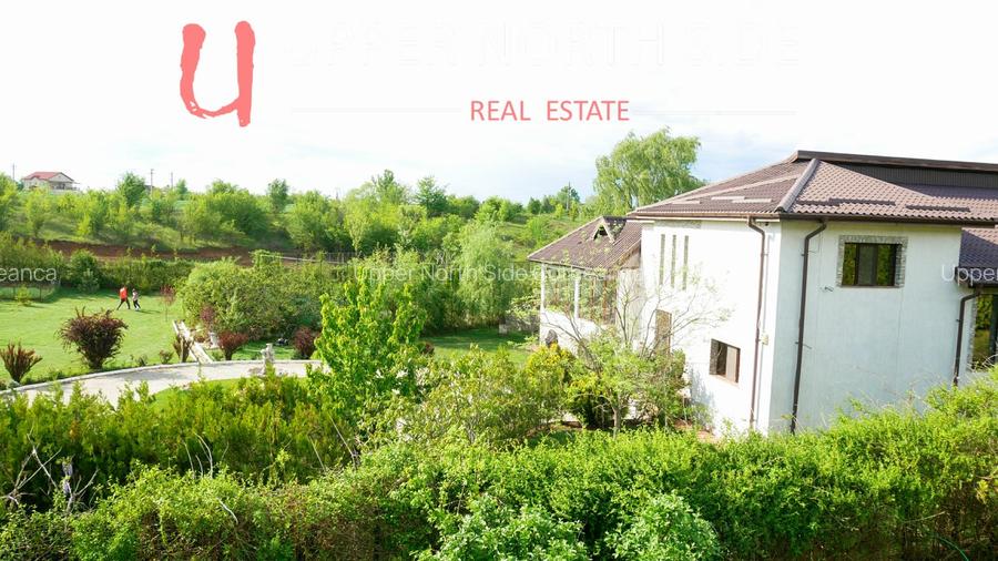 Mansion Luxuriant | Piscina Interioara | Teren tenis | 2500 mp gradina superba - 20