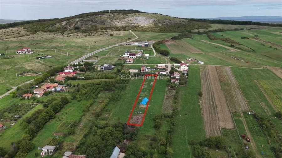 RECO Teren intravilan in Betfia 2000 mp - 3