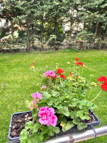 Casă de vânzare  Balotești Ilfov zona iesire Tunari, Dimieni - 24