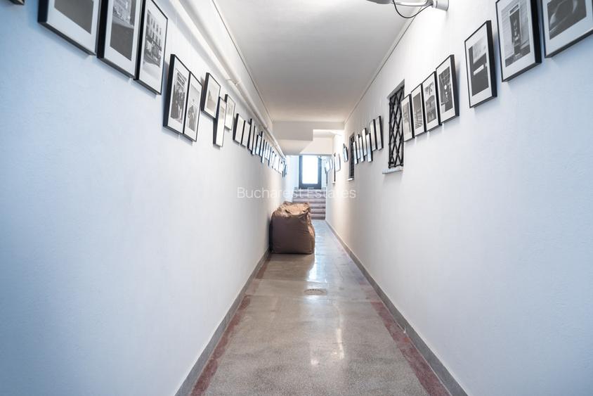 Historical villa Gradina Icoanei area - 21