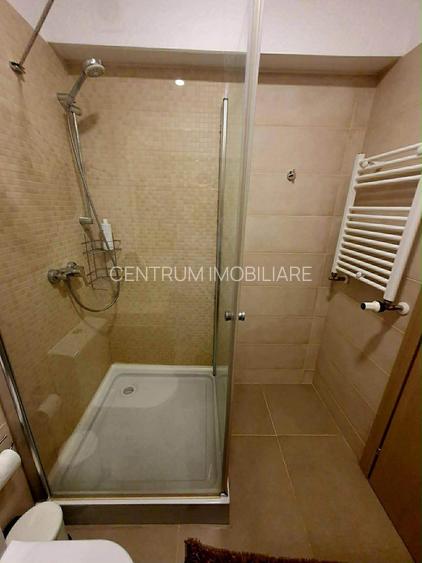 Inchiriere garsoniera Grozavesti terasa si parcare - 14