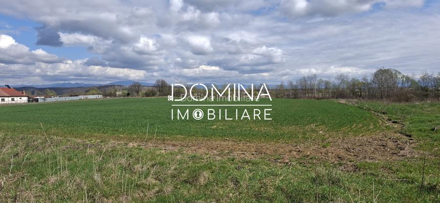 Vânzare teren intravilan 20.386 mp în Câlnic–traversat de râu, 19 km de Tg Jiu - 5