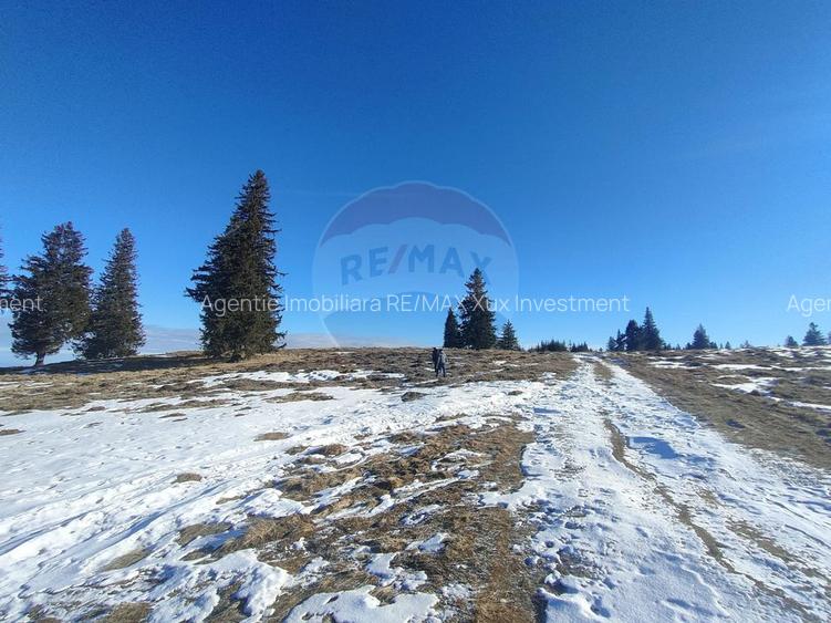 Teren  extravilan - 6