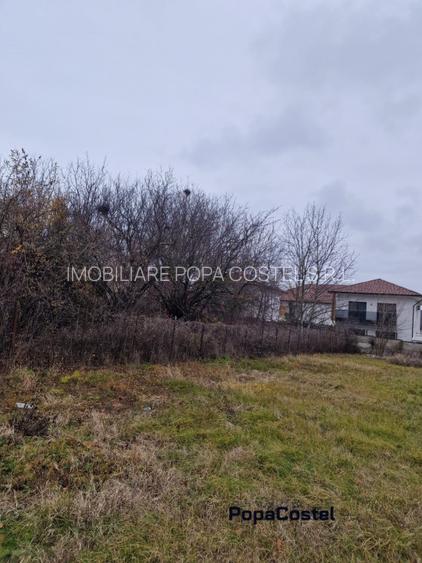 Tunari - Camil Petrescu teren 1000 mp deschidere 23 ml, electricitate, canal - 2