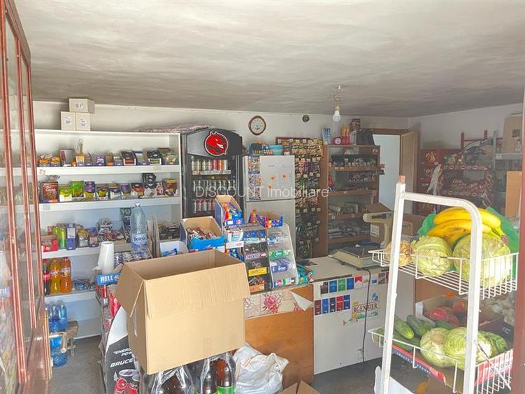 Vanzare casa in comuna Gherghita (ID 787) - 10