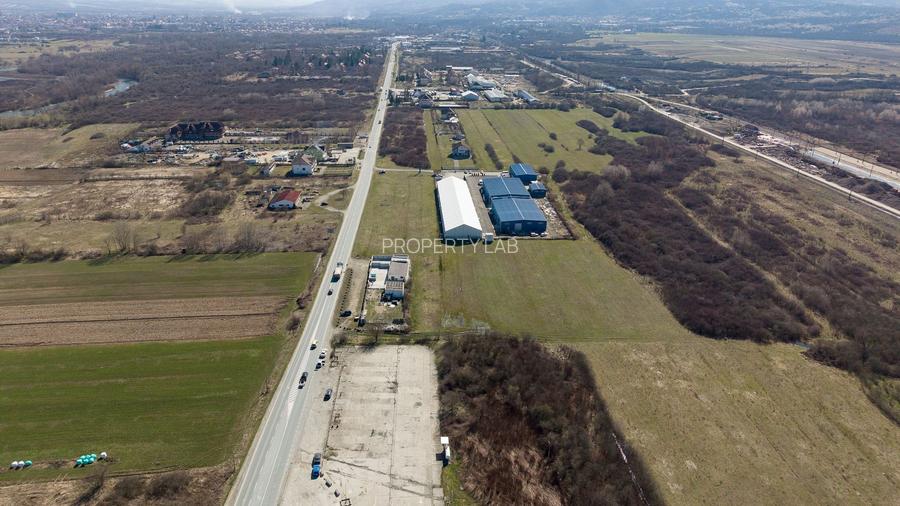 Teren extravilan de 7.000 mp lângă Păltiniș - 17