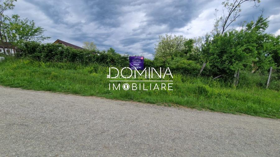 Teren 2.948 mp, ideal construcție – oraș Tismana, strada Perilor - 4