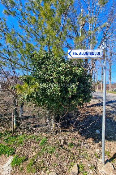Teren intravilan 13175mp utilitati Ciolpani Strada Alunisului - Padurea Snagov - 13