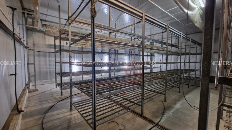 DE VANZARE Platforma cu  2 hale de 2074 mp amplasate pe un teren de 8762 mp - 4