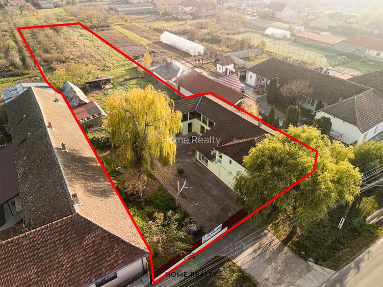 COMISION 0% I Casă + Teren - 3.763 mp I Peciu Nou - str. Principală. - 31