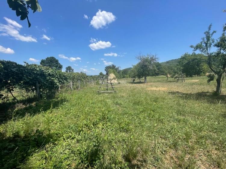 Teren 4.684 mp cu construcție existentă – Mălureni, Argeș - 10