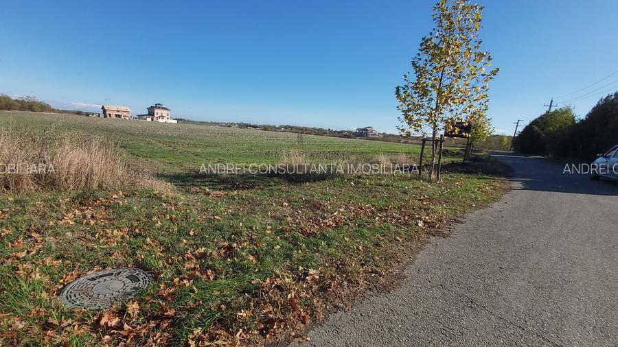 Vanzare 2000 mp, sau 3000 mp sau 5000 mp teren in Gradistea cu acces dinspre A3 - 7