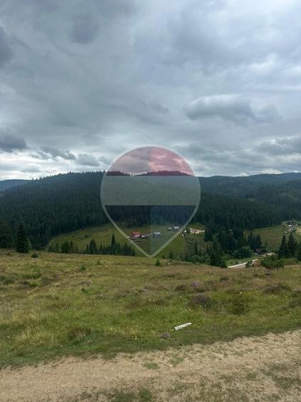 Teren 2,42 ha in Poiana Horea | Cadru montan | Potential turistic