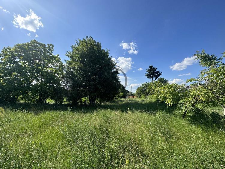 Teren intravilan de vanzare | 11.000 mp | Ghirdoveni | Comision 0%