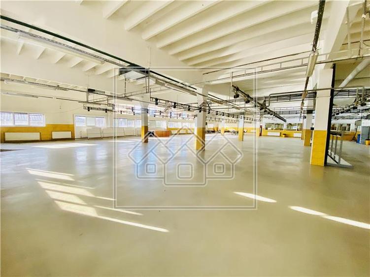 Spatiu industrial si de birouri in zona Terezian - finisaje moderne
