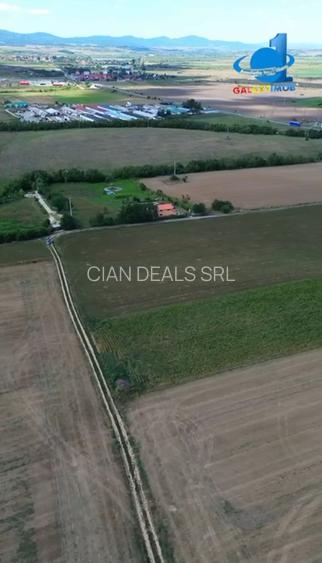 Teren De Vanzare Feldioara Utilitati In Apropiere - 2