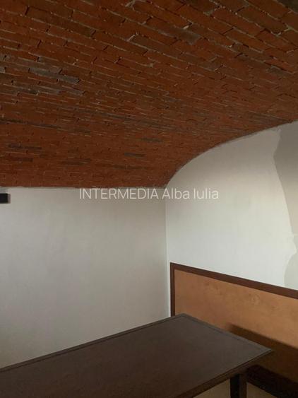 Casa de Lux cu 5 camere pe colina 1000 mp – CETATE SKIT Panorama spectaculoasă - 20