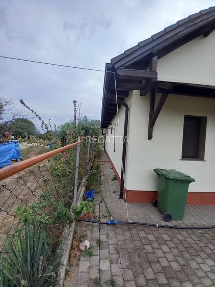 CASA CU TEREN GENEROS IN GRUIU - 4