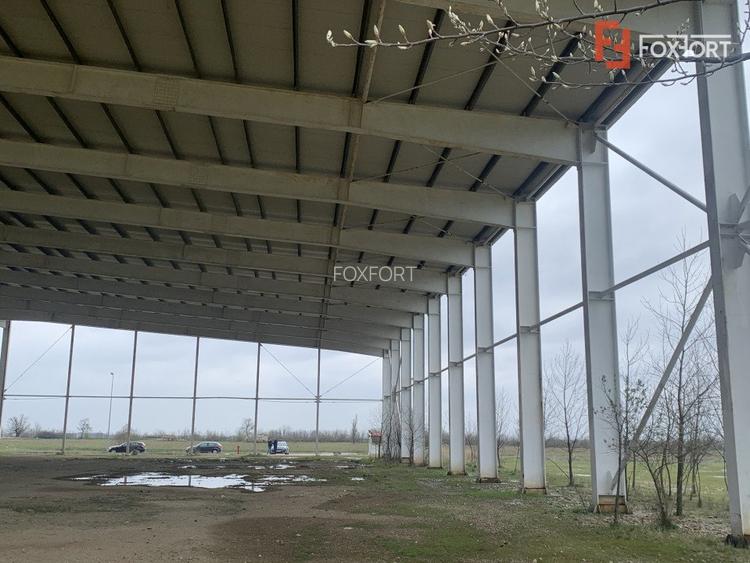 COMISION 0% Hala industriala 5500 mp utili zona de Nord Timisoara - ID V5143 - 4