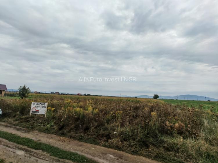 Teren de Casa - Harman - Brasov - 4