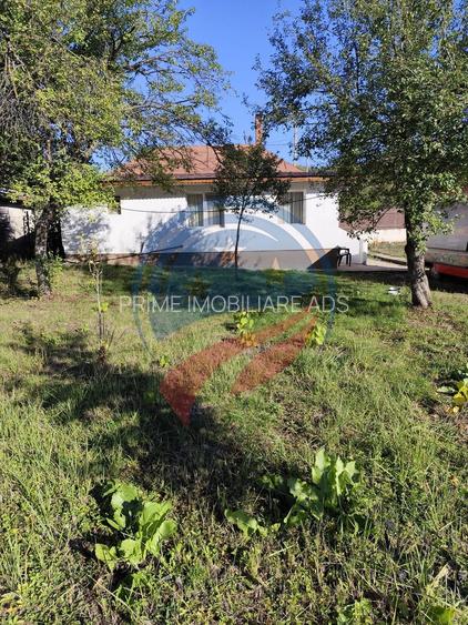 Casa cocheta la 30 minute de Craiova- Cornița Dolj - 14