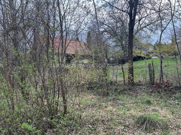 Breaza - str.Plaiului, Coasta Berzei nr.54, teren 1400 mp - 5