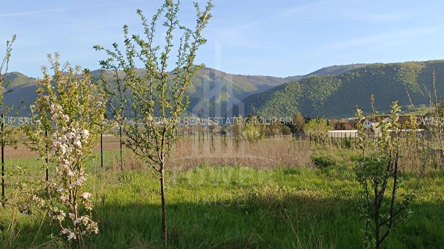 Teren Intravilan - Orlat jud. Sibiu - 3