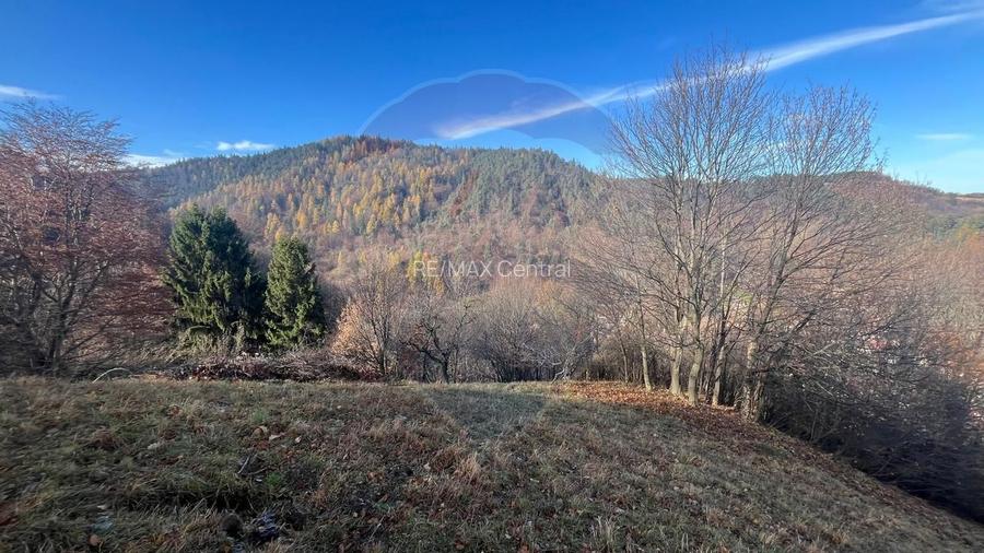 Teren Colinar Panoramic – 17.684 mp în Scheii Brașovului - 12
