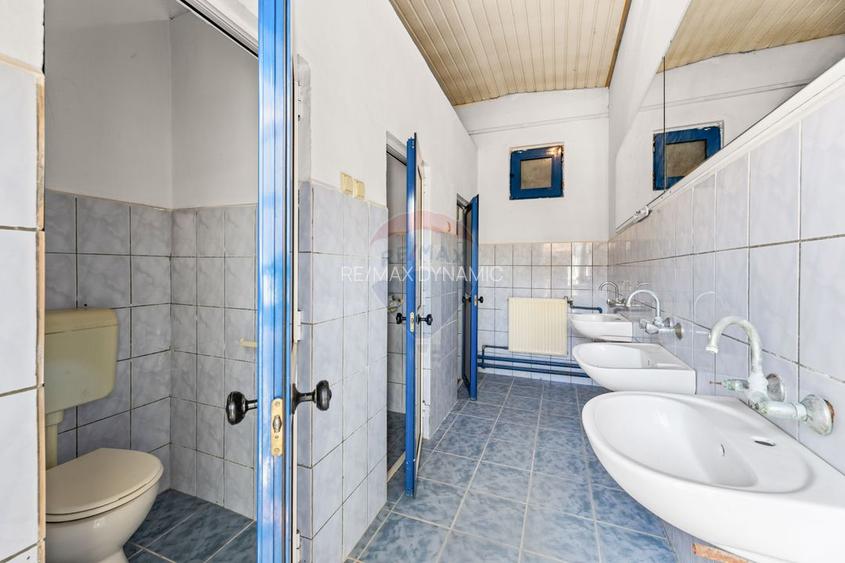 Hala industriala de inchiriat zona centrala, Aradul Nou - 5