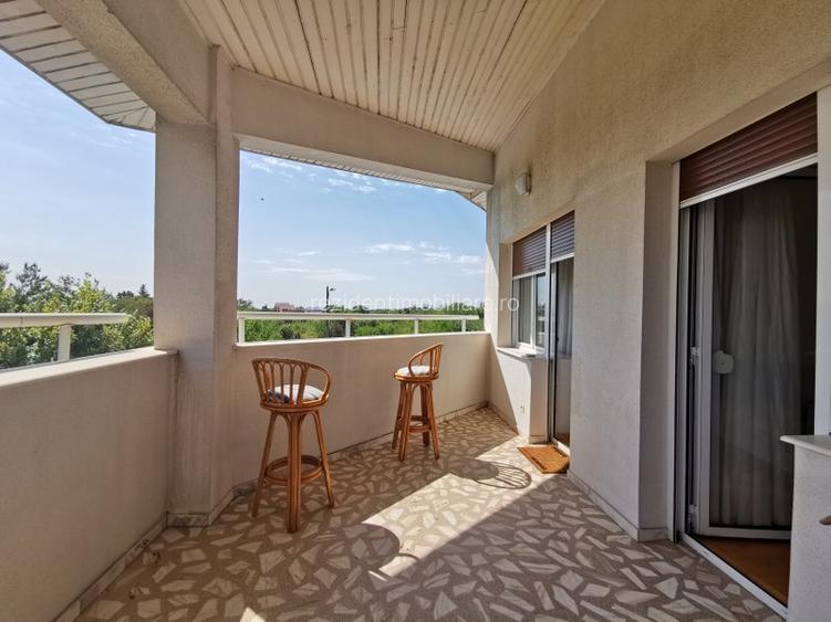 Vila superba cu piscina si gradina superba in Domnesti - 12