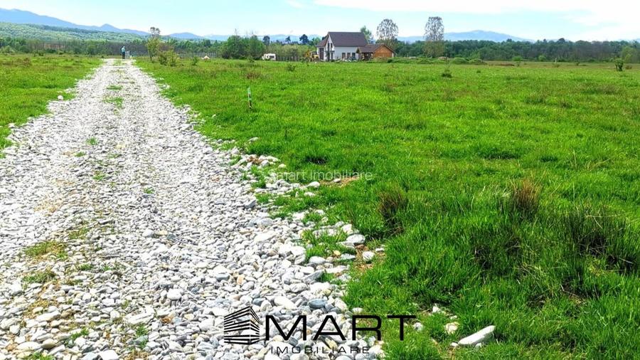 Teren extravilan Valea Avrigului 8000mp zona Panoramic Park - 2