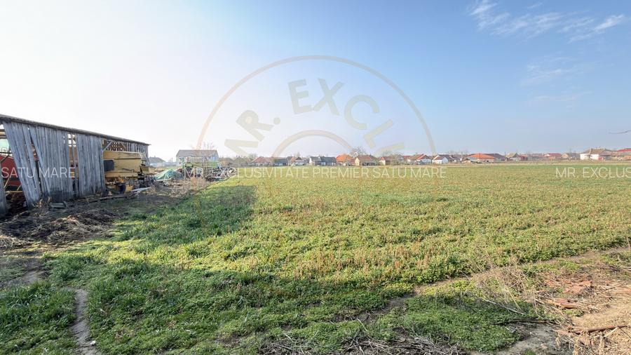 Casa 4 camere, Teren 2.948 mp Tiream SM - Comision 0% cumparator - 9