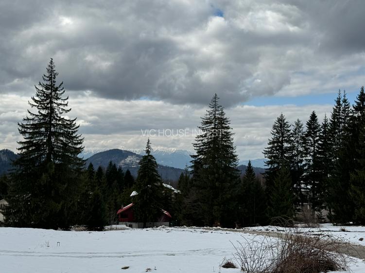 Casa de vacata Predeal Trei Brazi - 20