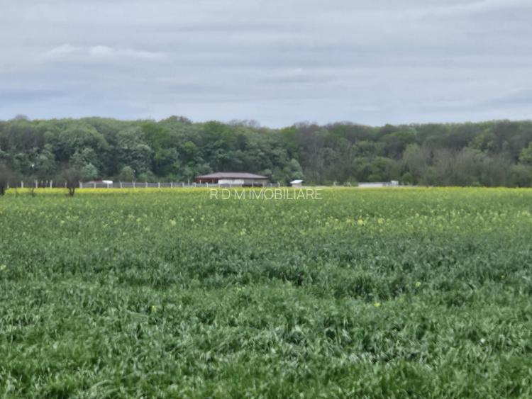 Teren de vânzare 18.000 mp – Clinceni, zona Ordoreanu | Oportunitate investiție - 2