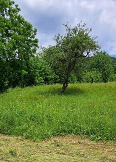 Prahova-Cosmina de Sus, Teren cu casa p+1