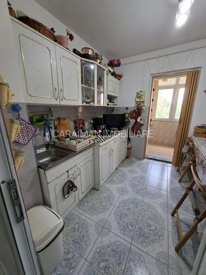 Colentina,Mc.Donald,s,Rau Bacila - 8