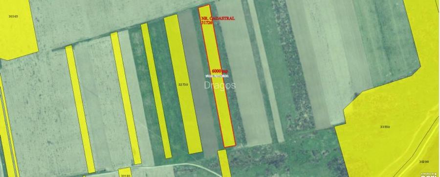 Teren agricol 2.6ha, Tulcea, Valea Nucărilor - 4