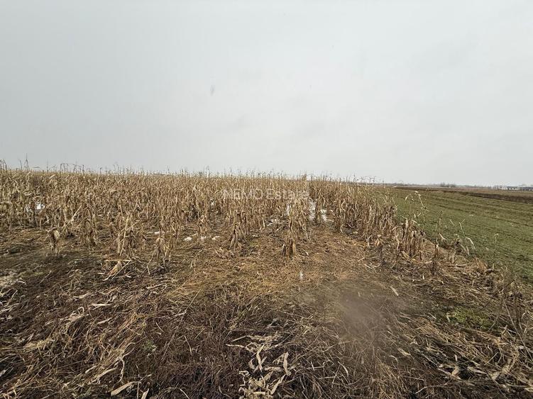 Teren extravilan | Gălănești | 7.276 mp | Front 29 m - 2