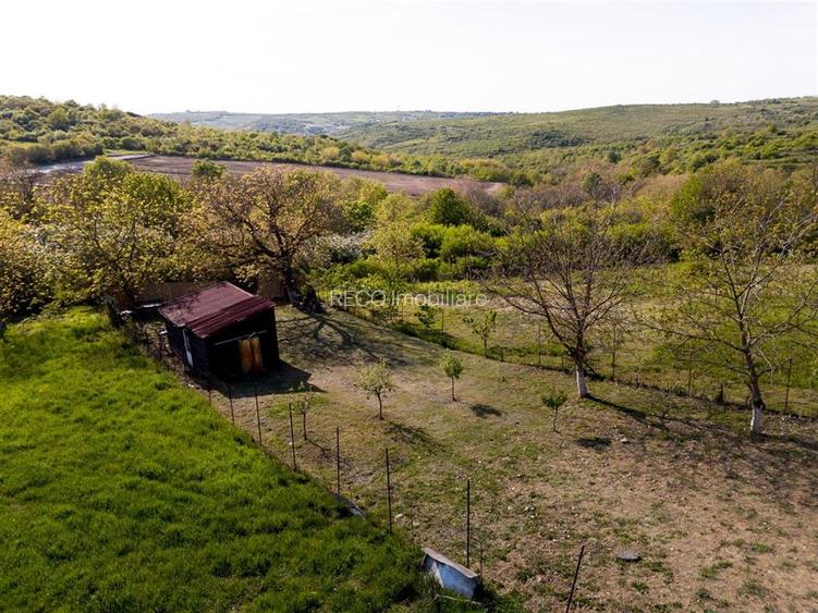 RECO Teren intravilan in Saldabagiu de munte zona Gheorghe Doja - 5