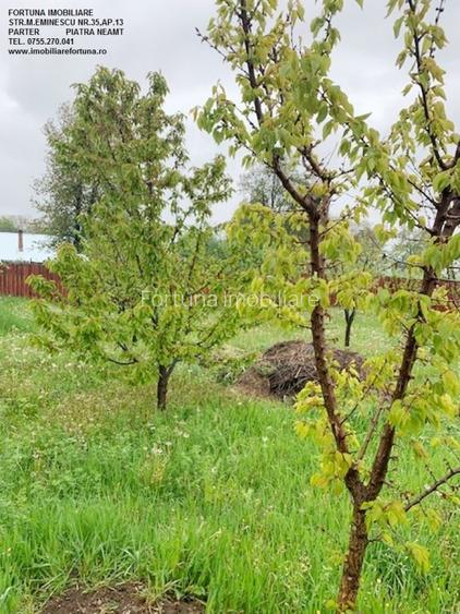 Casa la gri, comuna Girov - 20