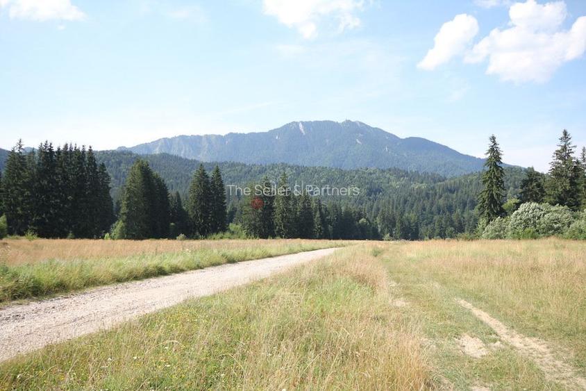 Poiana lui Manole - teren Intravilan - 14