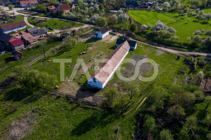 Microferma cu locuinta de vanzare in Pianu de sus - 15