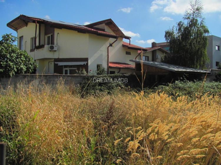 Bragadiru - Zona Haliu, Stradal - 5