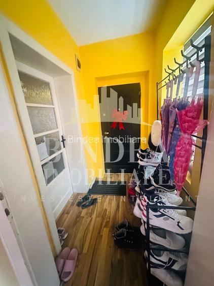 Casa pe principala in Giarmata  737mp teren - 16