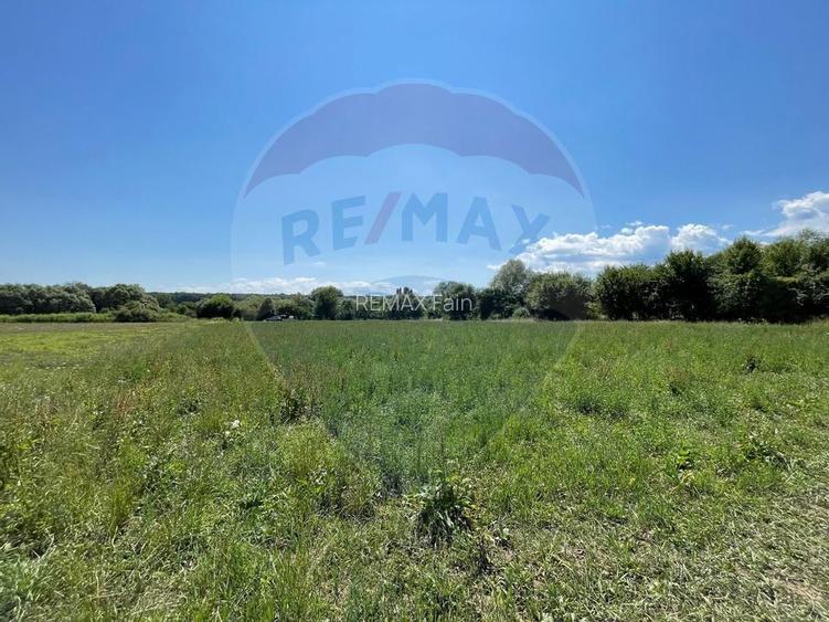 TEREN  INTRAVILAN  5000mp ORAS CISNADIE  STR. SELIMBARULUI - 3